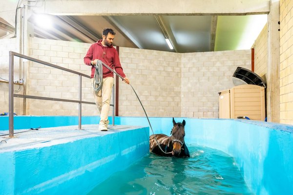 Can The Introduction of Aquatic Therapy in Post-Stroke Rehabilitation Improve Mobility and Quality of Life?